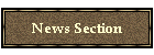News Section