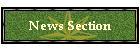 News Section
